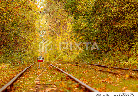 Autumn forest through which an old tram rides (Ukraine) Autumn forest through which an old tram rides (Ukraine) 118209576