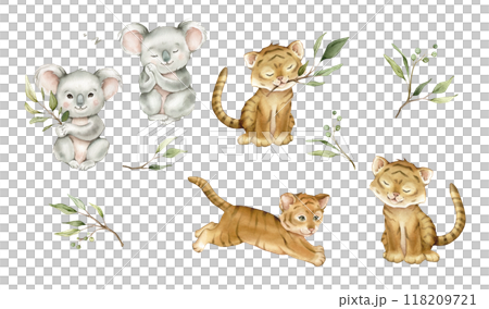 Set of cute kawaii koalas and tigers with green branch eucalyptus. Watercolor hand drawn illustration australian animal isolated on background. Cartoon kids clipart minimalist style. Set of cute kawaii koalas and tigers with green branch eucalyptus. Watercolor hand drawn illustration australian animal isolated on background. Cartoon kids clipart minimalist style. 118209721