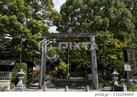 奈良県桜井市の等彌神社 118209869