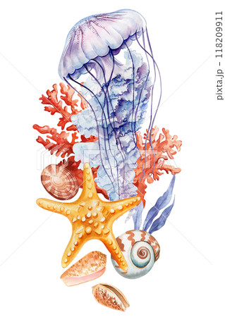 Watercolor jellyfish, shells, coral, starfish isolated . Summer poster design, tropical beach, marine life clipart  118209911