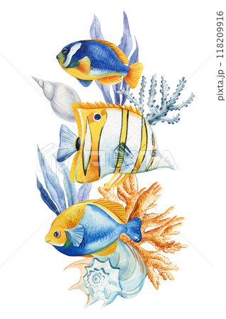 Tropical fish, Watercolor Seashells, coral, fish isolated . Summer poster design, beach shells, marine life clipart  118209916