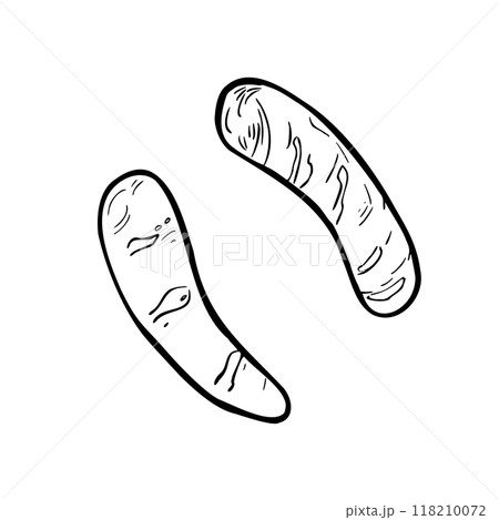 Grilled sausages, bratwursts black white contour vector illustration isolated. Fried food barbecue sausage silhouette hand drawn by ink for design beer festival, banner, menu, packaging, BBQ party. 118210072