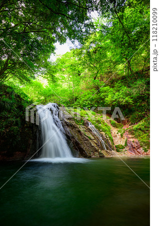 滝の風景　花貫渓谷　乙女滝 118210099