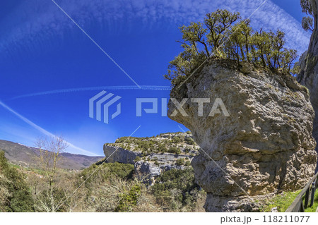 Natural Monument of Ojo Guarena, Spain Natural Monument of Ojo Guarena, Spain 118211077