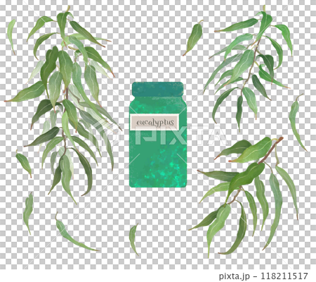 Aromatherapy, essential oil, essential oil bottle and eucalyptus illustration 118211517