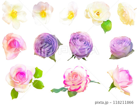 薔薇のイラスト素材セット1 118211866