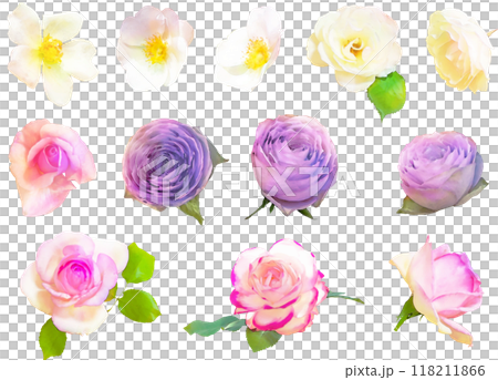 玫瑰插畫素材套裝1 玫瑰插畫素材套裝1 118211866