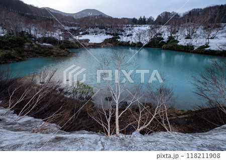 池の周囲は雪 118211908