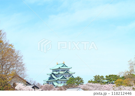愛知県名古屋市、満開の桜と名古屋城の風景 118212446
