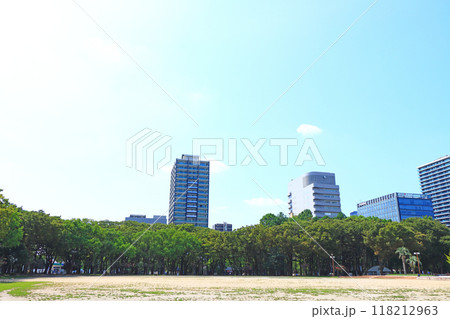 愛知県名古屋市、白川公園とマンションの風景 愛知県名古屋市、白川公園とマンションの風景 118212963