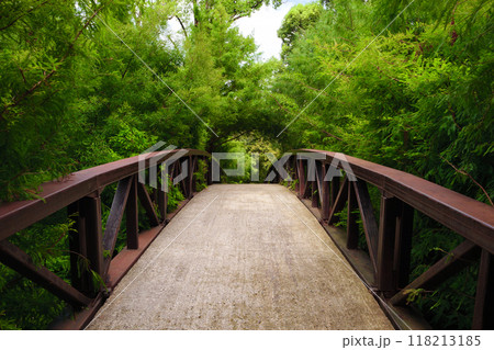 Tranquil pathway bridge surrounded by lush greenery in a serene park Tranquil pathway bridge surrounded by lush greenery in a serene park 118213185