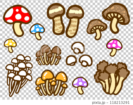 A set of doodle-style illustrations of various kinds of autumn mushrooms 118213291