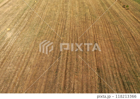 Aerial view of autumn harvesting agricultural field 118213366