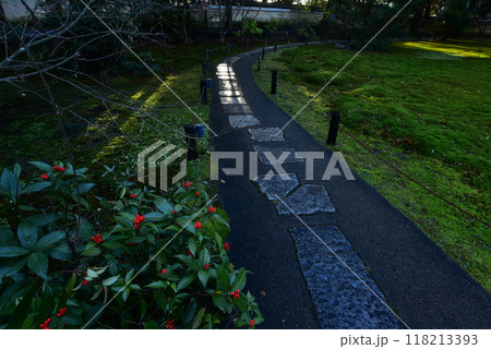 千両と石畳の庭園 118213393
