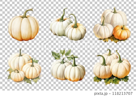 White Pumpkin Collection Bundle Set Isolated on a Transparent Background 118213707