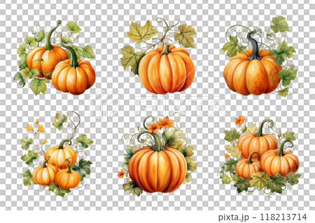 Pumpkin with Vine Collection Bundle Set Isolated on a Transparent Background Pumpkin with Vine Collection Bundle Set Isolated on a Transparent Background 118213714