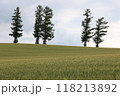 マイルドセブンの丘 118213892