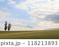 色づき始めたムギ畑 118213893