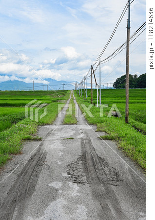 夏の農道【大町市】 118214636