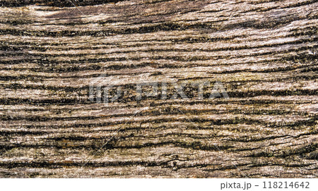 Wood Textured Background Wood Textured Background 118214642