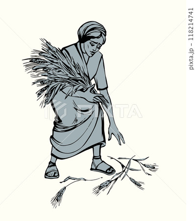 Vector drawing. A woman picks ears in the field 118214741