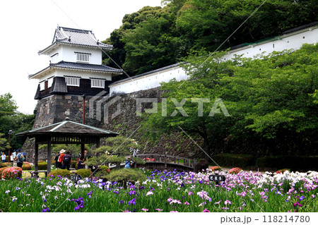 長崎県大村市　大村公園の玖島城堀跡に広がる花菖蒲園の景観 118214780