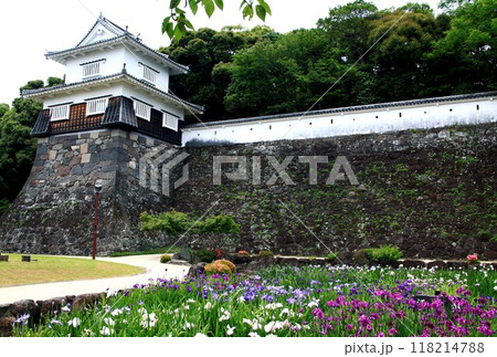 長崎県大村市 大村公園の玖島城堀跡に広がる花菖蒲園の景観 長崎県大村市 大村公園の玖島城堀跡に広がる花菖蒲園の景観 118214788