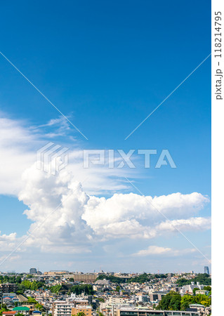 【神奈川県】夏の青空と横浜の住宅街（8月） 118214795