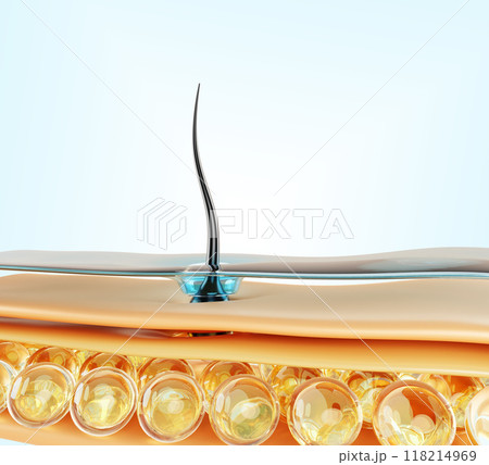 3d hair care render macro background. Skin scalp structure of water layer, epidermis, fat cell and follicle. Keratin restoration, shampoo nourish, treatment or transplantation concept. 3D illustration 118214969