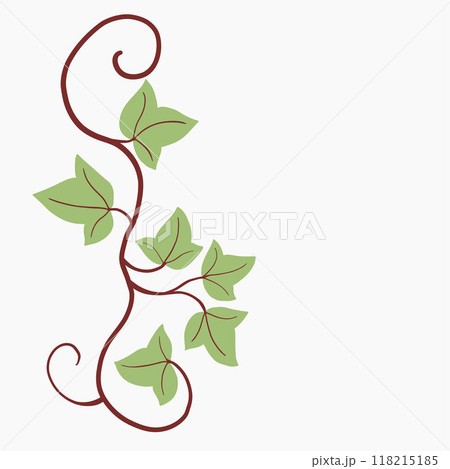 Floral ivy drawing decorative ornament flat design. 118215185