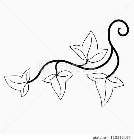 Floral ivy drawing decorative ornament flat design. Floral ivy drawing decorative ornament flat design. 118215197