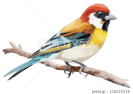 Colorful Bird Illustration on Branch 118215519