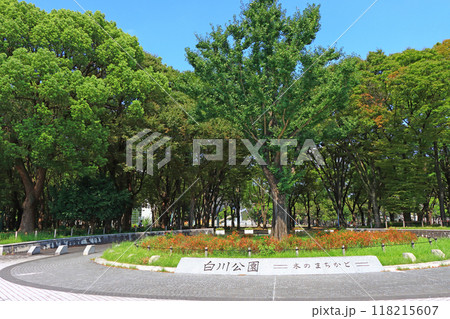愛知県名古屋市、自然豊かな白川公園の風景 118215607