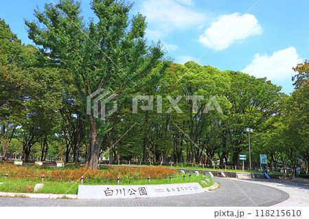 愛知県名古屋市、自然豊かな白川公園の風景 118215610