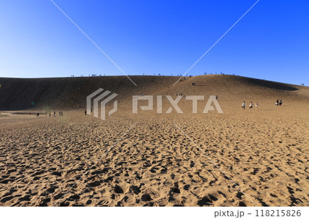鳥取砂丘 砂の美しい風景 《鳥取》 鳥取砂丘 砂の美しい風景 《鳥取》 118215826