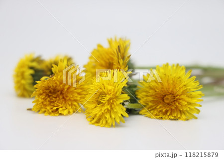 In a vase I'm a Bright yellow bouquet of field dandelions, plucked from a spring meadow, In a vase I'm a Bright yellow bouquet of field dandelions, plucked from a spring meadow, 118215879