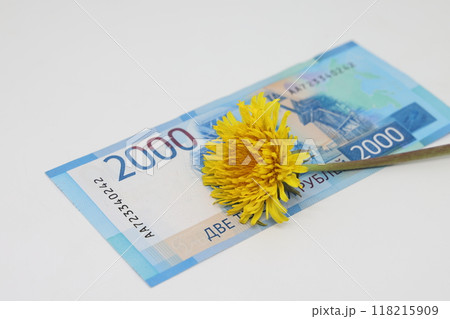 Yellow dandelion lies on a banknote close-up, financial plans in the spring. 118215909