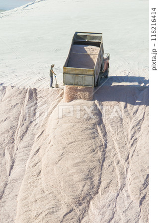 Trucks unloading raw salt bulk, Salinas Grandes de Hidalgo, La Pampa, Patagonia, Argentina. Trucks unloading raw salt bulk, Salinas Grandes de Hidalgo, La Pampa, Patagonia, Argentina. 118216414