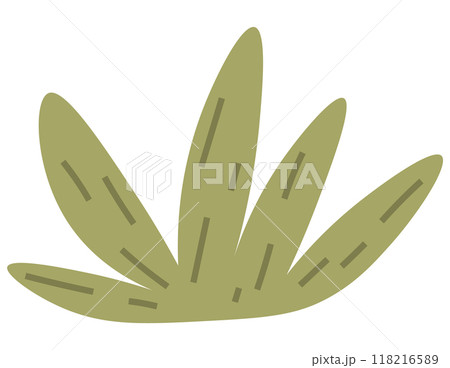 Bush vector illustration. The wild plant thicket symbolizes untamed beauty untouched nature Planting blooming shrubs adds burst color to organic canvas environment The bush metaphor resonates Bush vector illustration. The wild plant thicket symbolizes untamed beauty untouched nature Planting blooming shrubs adds burst color to organic canvas environment The bush metaphor resonates 118216589