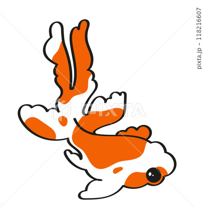 Japanese chinese traditional goldfish koi carp fish on a white background 118216607
