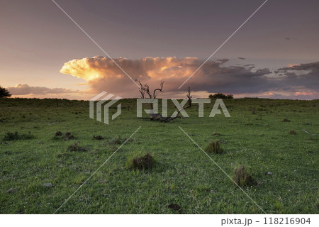 Argentine countryside landscape, La Pampa province, Patagonia, Argentina. Argentine countryside landscape, La Pampa province, Patagonia, Argentina. 118216904