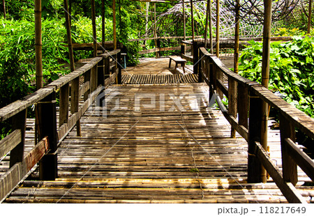 Bamboo Walkway over the forest 118217649