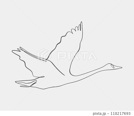 Minimalist line drawing of flying swan 118217693