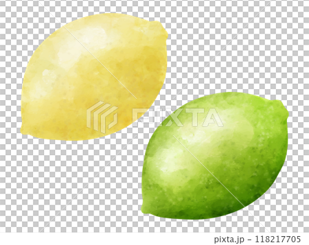 Watercolor lemon and lime illustration set 118217705