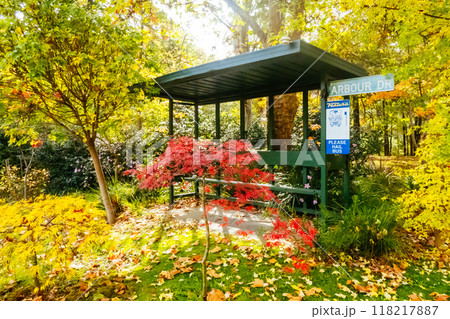 Warburton Autumn Gardens in Australia 118217887