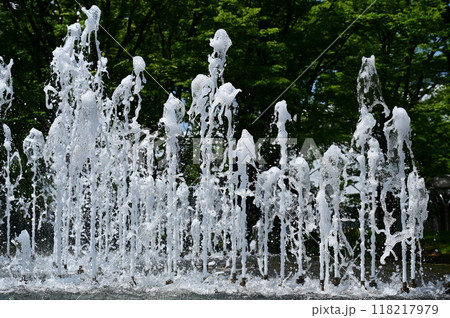 公園の噴水と水しぶき 118217979