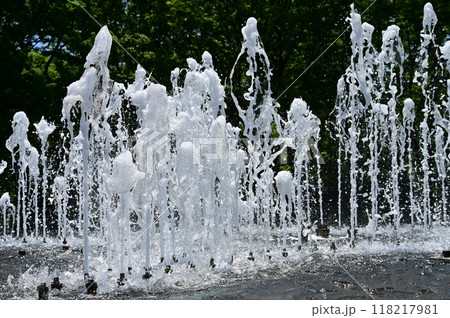 公園の噴水と水しぶき 公園の噴水と水しぶき 118217981