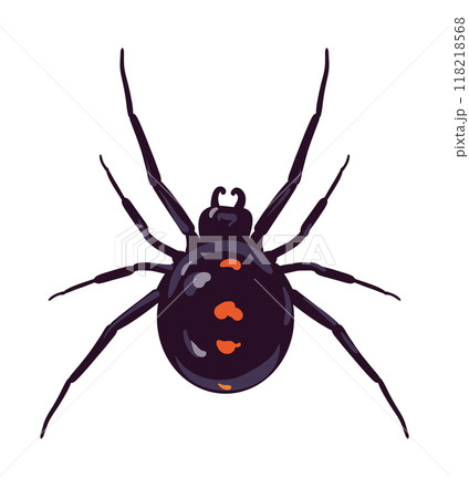Spider black widow Latrodectus occidentalis. Black spider with red spots in flat style. Dangerous poisonous insect on white background. Vector illustration. 118218568