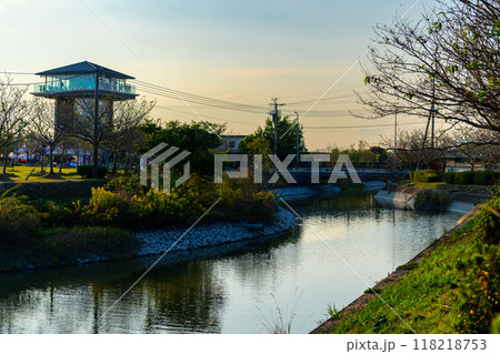 夕焼けのシチメンソウ観光地スポット周辺風景　(七面草)「東よか干潟ビジターセンターひがさす(佐賀市」 118218753