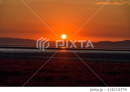 美しい夕焼け光芒を浴びているシチメンソウ風景(七面草)「東よか干潟ビジターセンターひがさす(佐賀市」 美しい夕焼け光芒を浴びているシチメンソウ風景(七面草)「東よか干潟ビジターセンターひがさす(佐賀市」 118218774